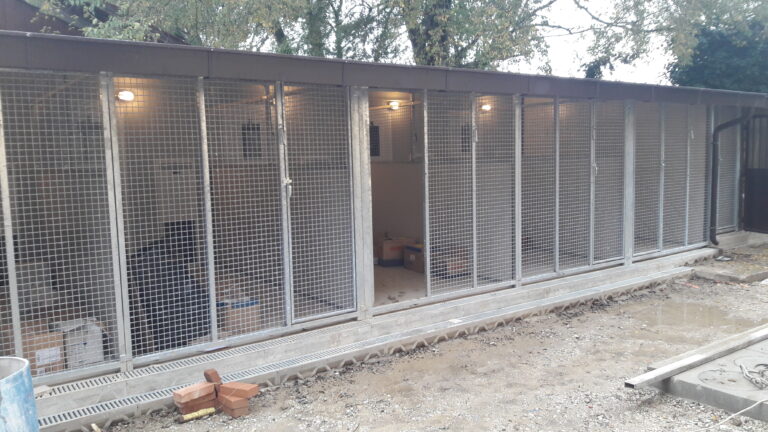allestimento box